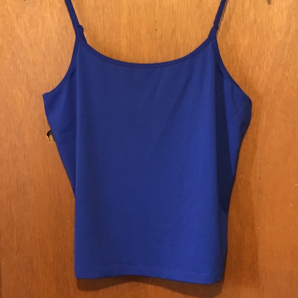 14/16 Lane Bryant Blue Spaghetti Strap